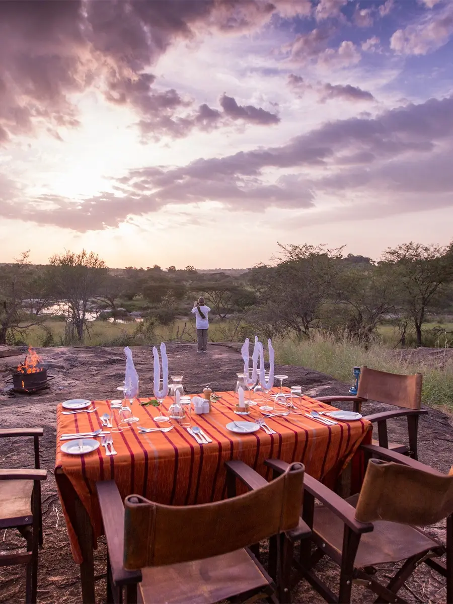 A breakfast table laid with red cloth and glasses in the bush at first light