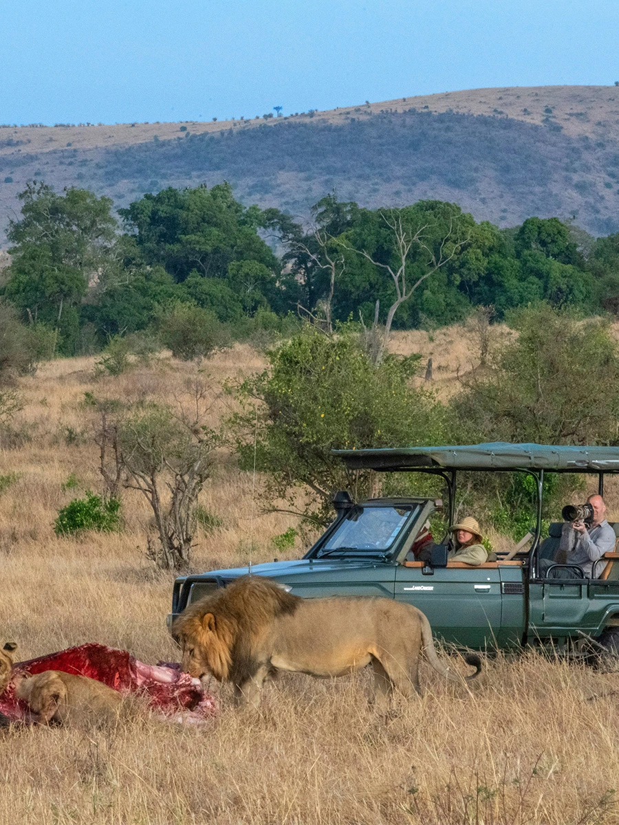 Embark on a personalized safari adventure with our private guided safaris. Led by seasoned experts, these tailored experiences ensure an intimate connection with nature, allowing you to explore the wilderness at your own pace. Witness the beauty of untamed landscapes and encounter wildlife in its natural habitat, creating memories that last a lifetime.