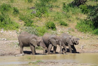 Fly Me Around Kenya