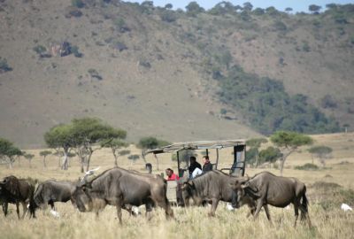 Heavenly Honeymoon Safari