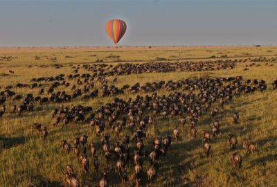 Heavenly Honeymoon Safari