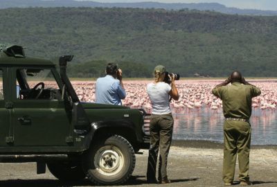 Out of Africa Safari