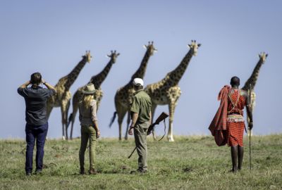 Out of Africa Safari