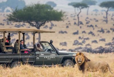 Safaris & Sandcastles