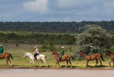 Kenya Sky Safari