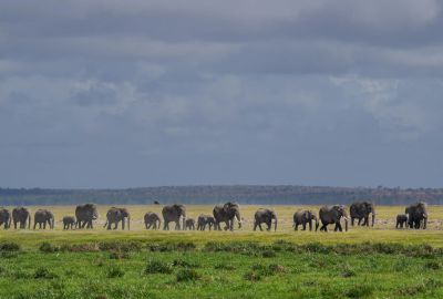 Best of Kenya and Tanzania