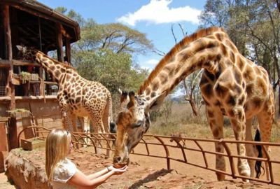 Fly Me Around Kenya