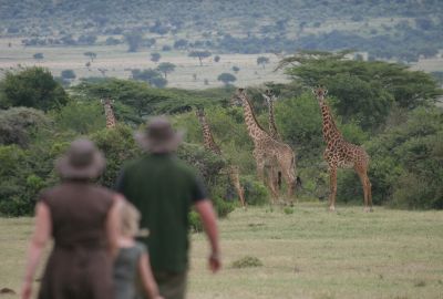 Heavenly Honeymoon Safari