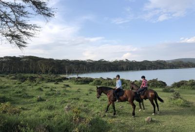 Out of Africa Safari