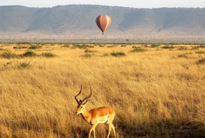 Kenya Sky Safari