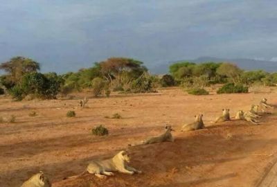 Fly Me Around Kenya