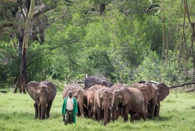 Fly Me Around Kenya