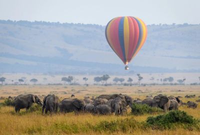 Best of Kenya and Tanzania