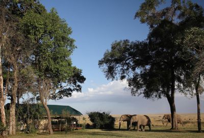 Out of Africa Safari